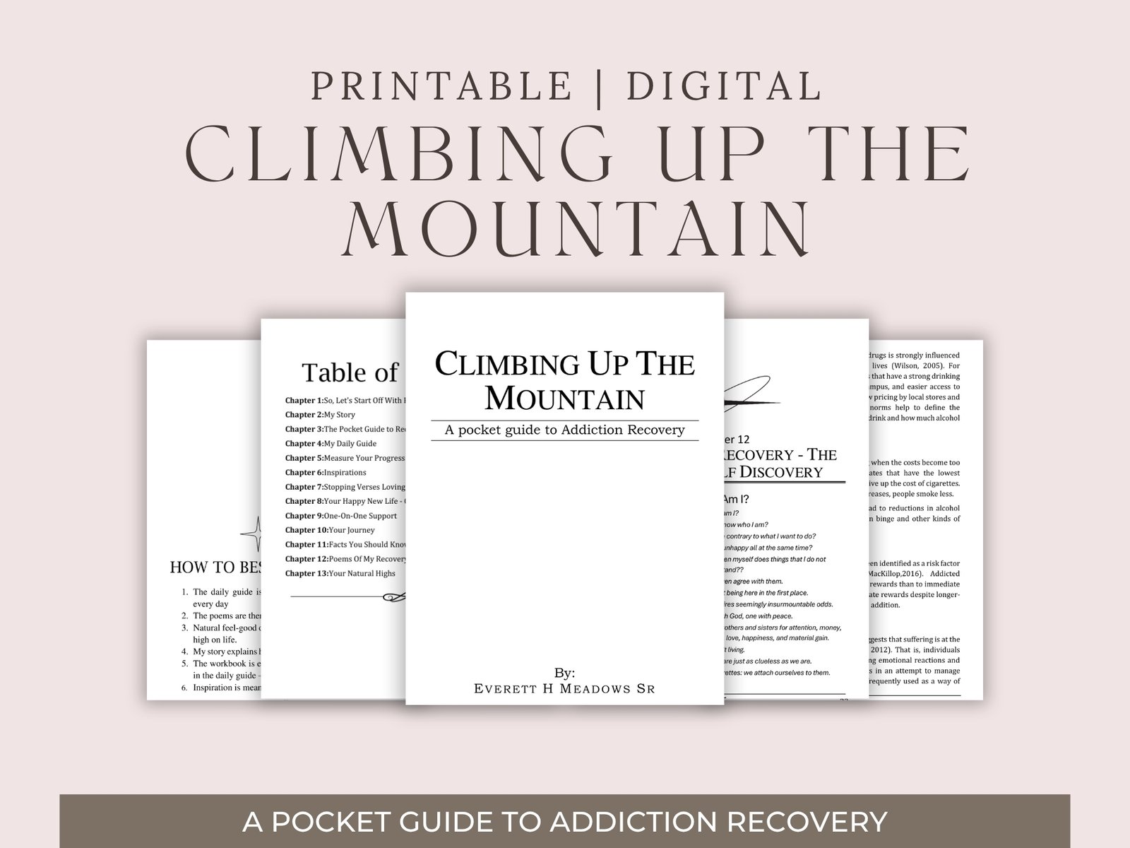 Addiction Recovery Guide | Sobriety Workbook, Daily Journal (Digital PDF)
